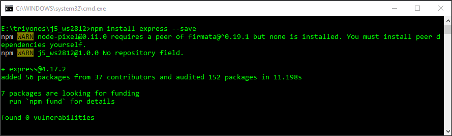 npm install express